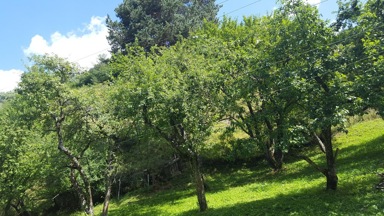 Raul Lushnu Darbaz Bed and Breakfast Mestia Buitenkant foto