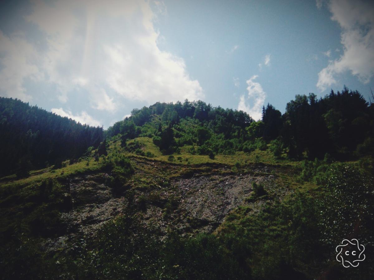 Raul Lushnu Darbaz Bed and Breakfast Mestia Buitenkant foto