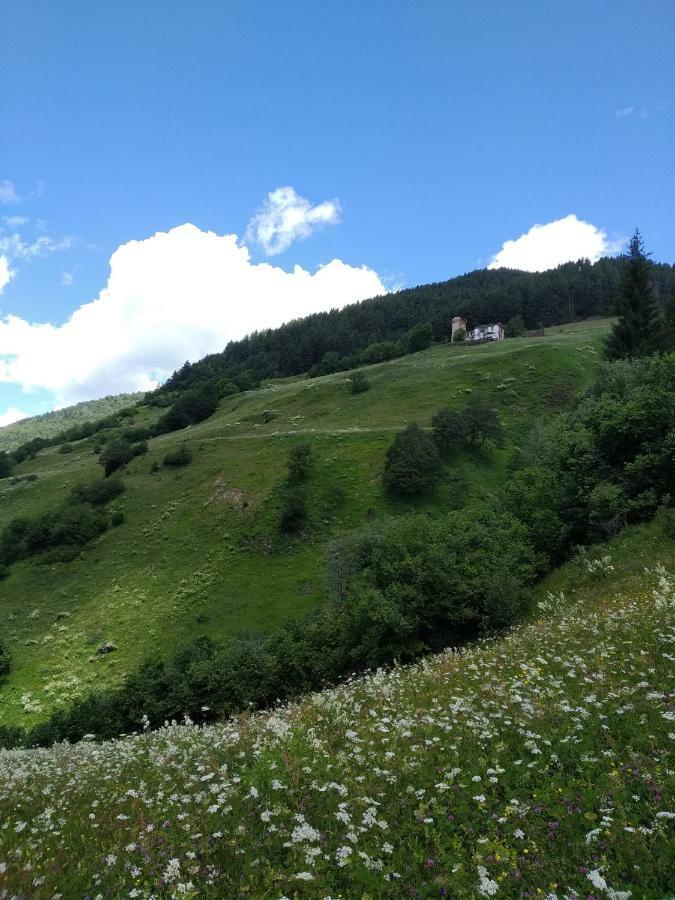 Raul Lushnu Darbaz Bed and Breakfast Mestia Buitenkant foto